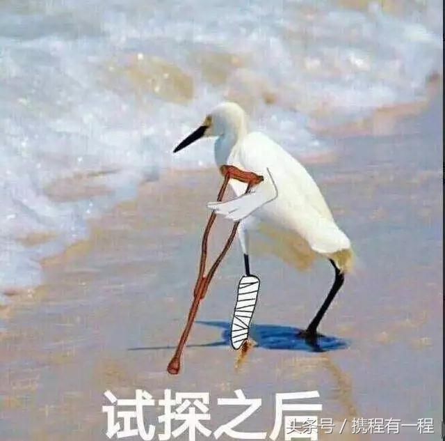 丢人!中国女游客为了拍抖音,竟跑到马来西亚做