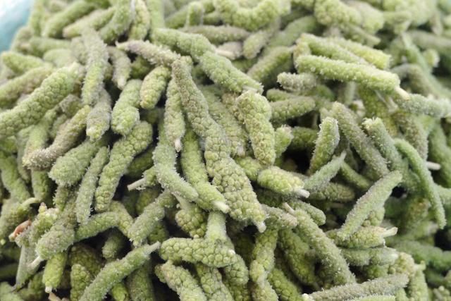 楮桃树上像桑葚一样的毛毛虫你吃过吗?别说