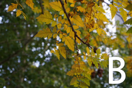 5D4对垒SONY7RM3\/M2 5D4能胜出吗?