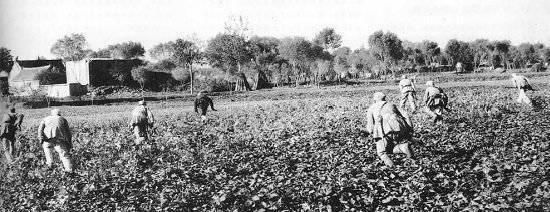 自作孽不可活,青海马家军投降后叛乱被剿灭