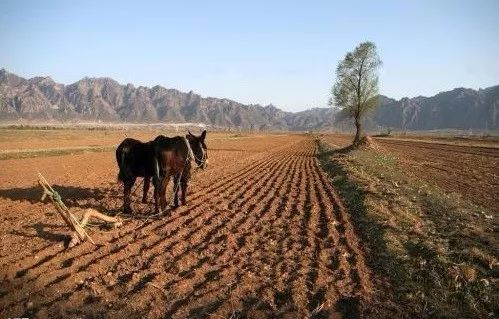 春节返乡,我们目睹了农村经济的衰落