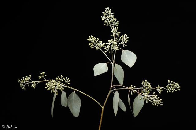 细节见人品,小事见人心