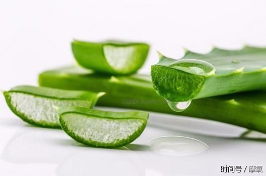 芦荟胶可以祛痘吗?祛痘痘和痘印其实另有绝招