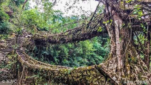 世界雨极:乞拉朋齐