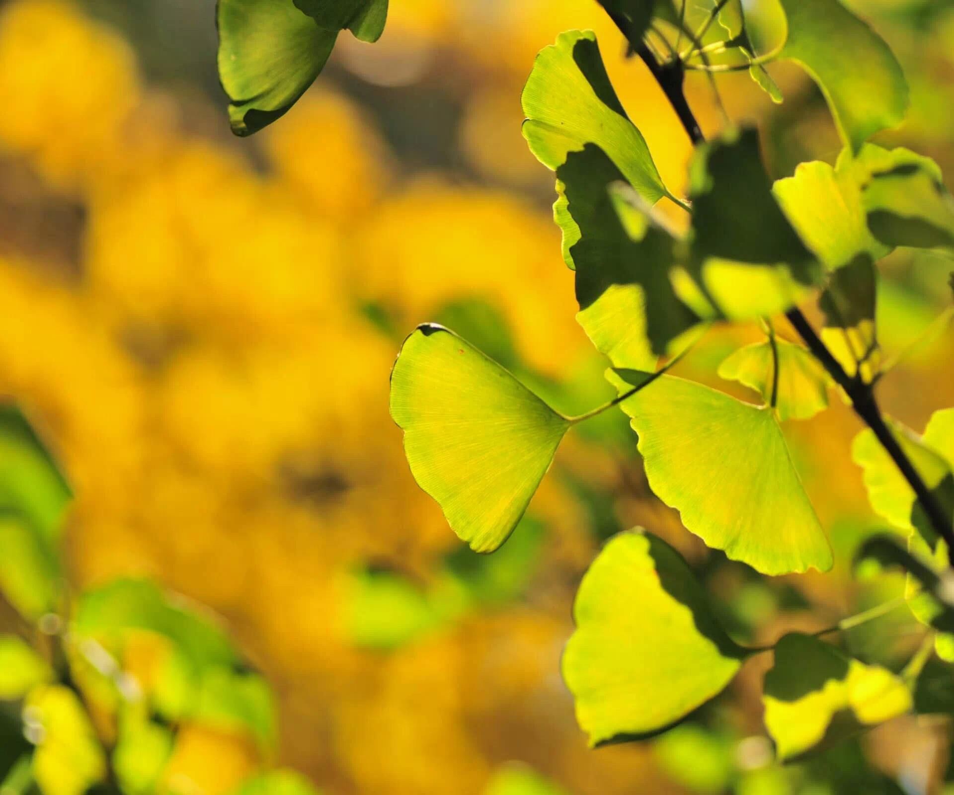 一起来看看搞笑的句子吧