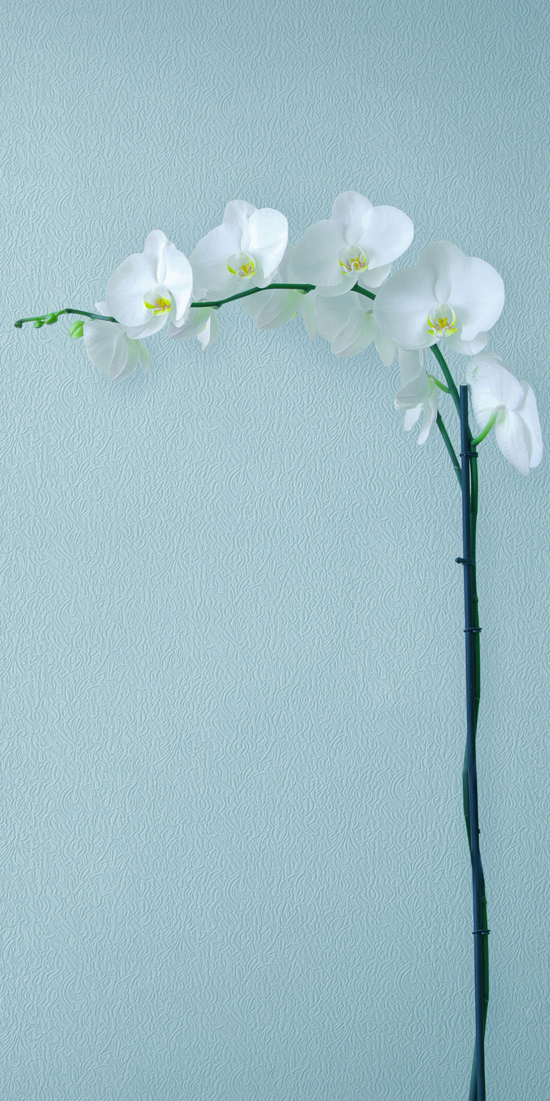 16张EMUI 8.0系统高清壁纸,来自华为Mate10 P