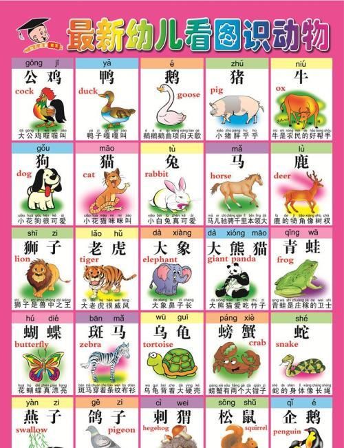 家有宝贝之:八个月的宝宝早教游戏有哪些