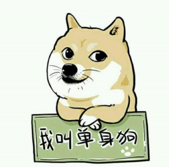 我愿意嫁给程序员?网友的回复难以形容,文艺,