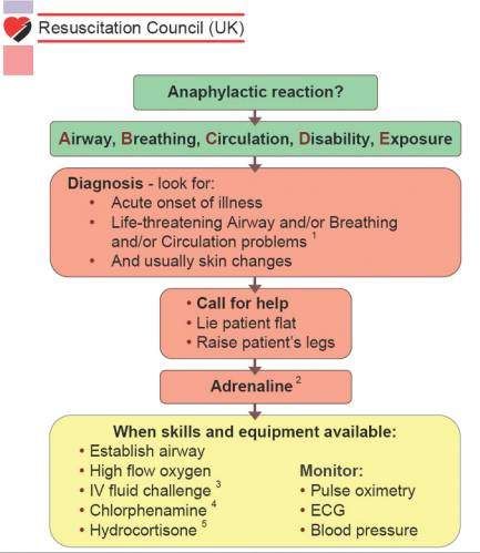 儿童严重过敏反应怎么办?