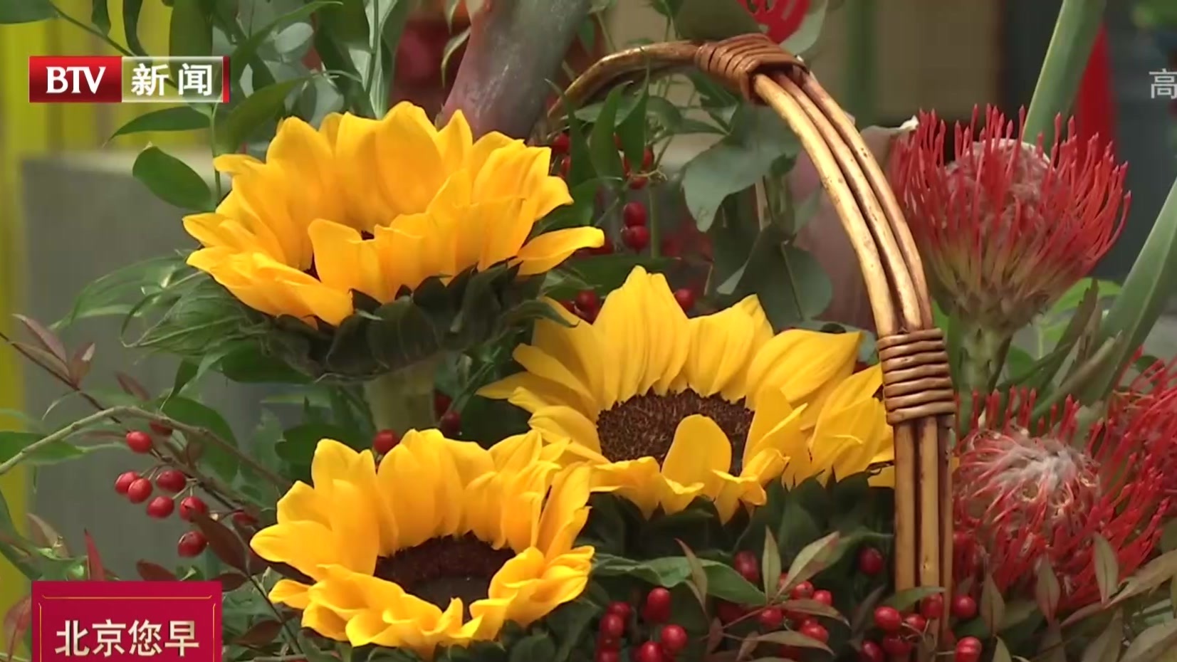 2020年迎新春  千万盆年宵花投放北京市场