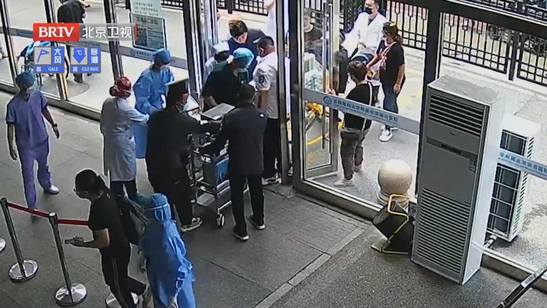 《生命缘》20221003新的生“机”