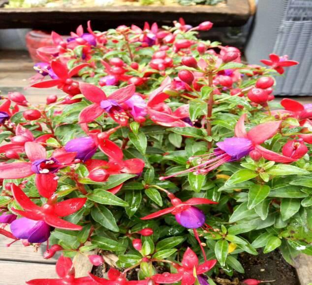 云南旅游|旅行的意义在于体验旅途的风景 旅行