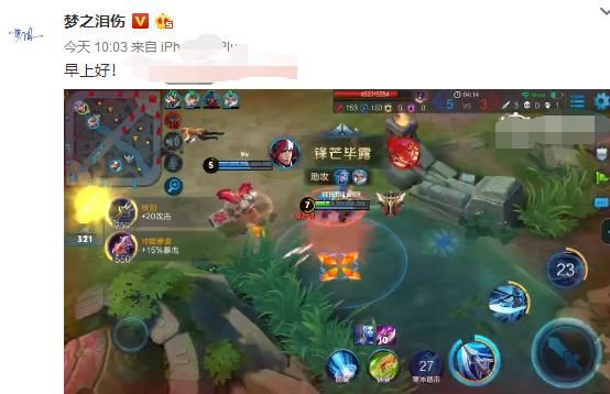 王者荣耀:梦泪新ID尽显王者霸气,网友点赞:看到