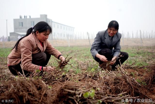 土地确权就是个坑?谣言!确权是对农民财产权的