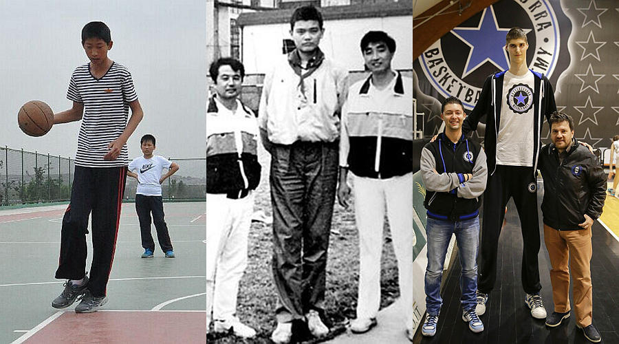 对于篮球来说长的高确实是一大优势，但想要成为姚明式巨星却不仅仅是有身高就可以的。在这两位少年的面前还有很长的路要走，我们祝他们好运，并希望以后可以再NBA赛场上看到他们的身影。