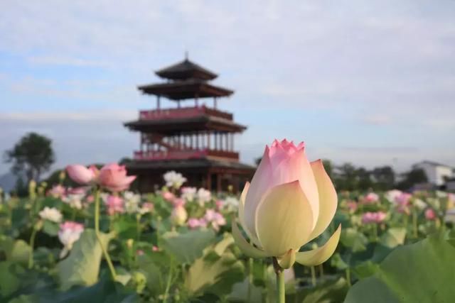 万万没想到!唱响全国的军歌《侦察兵之歌》,竟