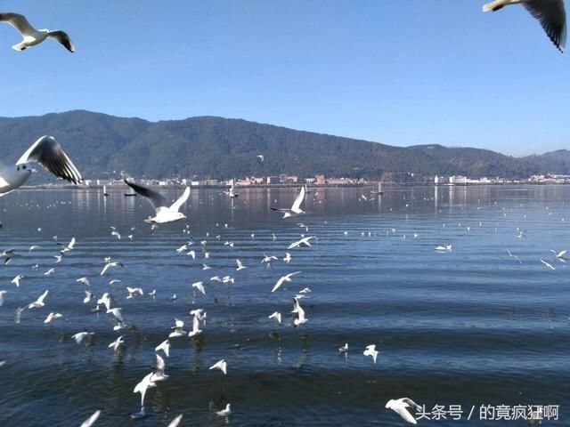 据说去昆明,这几个地方是必去的哦,人气那么高