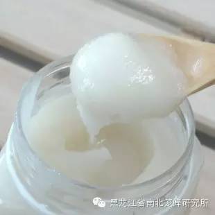 蜂蜜结晶   你不知道的秘密