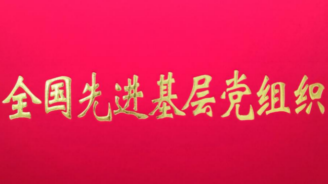 北京市怀柔区人民检察院机关党委获评“全国先进基层党组织” 北京市怀柔区人民检察院机关党委获评“全国先进基层党组织”