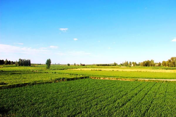 为何农村人比较长寿呢?百岁农民说出原因