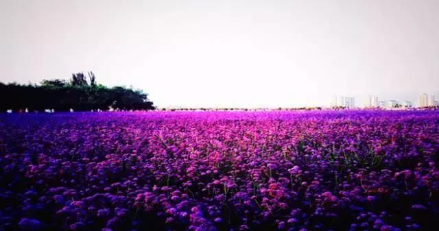 全国各地最新娶妻彩礼大比拼,哪里最低和最高