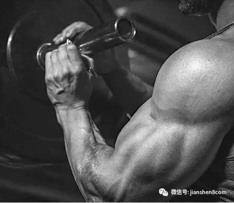 教你制定训练计划(2):训练课表的安排