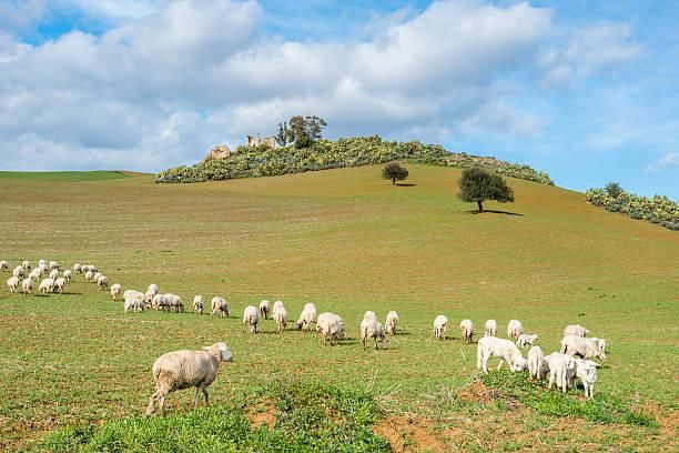 西西里岛:美丽传说,意大利最贫穷,治安最差的地区