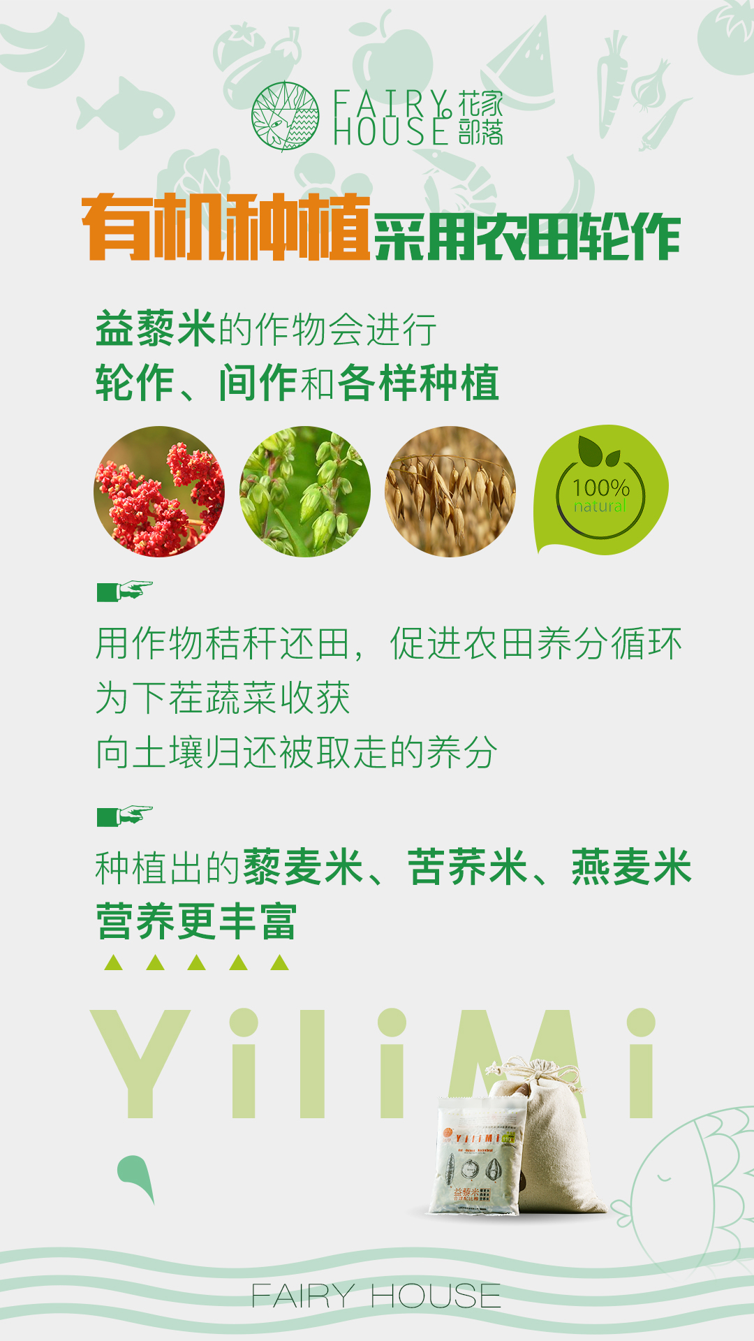 花家部落藜麦君告诉您藜麦到底有多好?