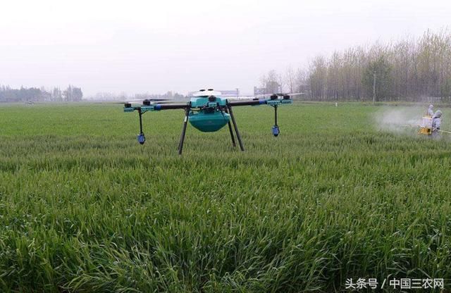 为啥美国农民收入很高 农产品价格却很便宜?