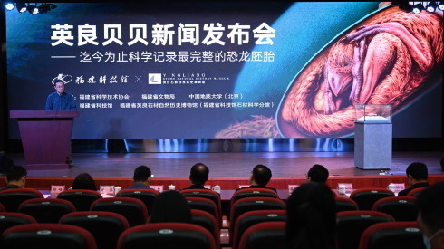 我国发现保存在恐龙蛋化石中的完美胚胎 我国发现保存在恐龙蛋化石中的完美胚胎