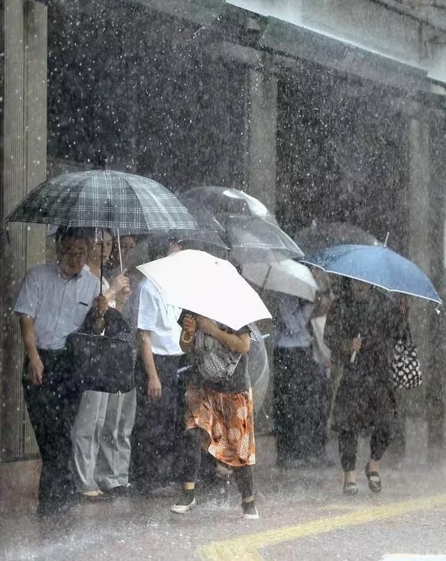 台风艾云尼将再次登陆?!阳江水浸街,接下来的