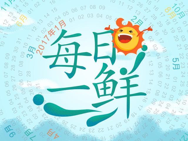 大妈捉“大壁虎”回家吃蚊子，竟是国家二级保护动物疣螈