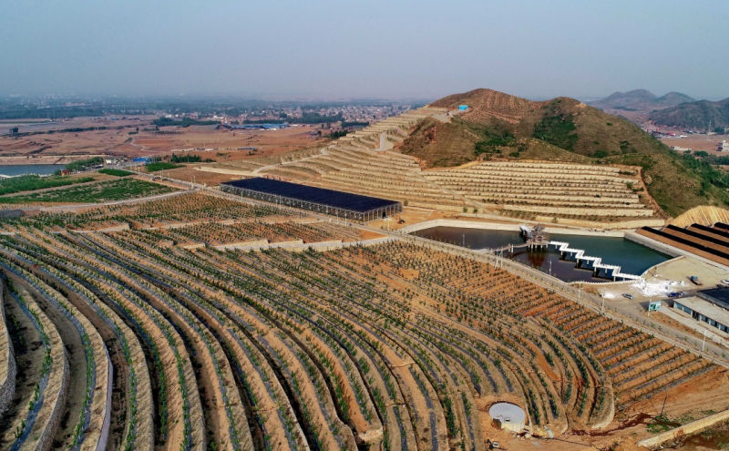 荒山改梯 蔬果飘香