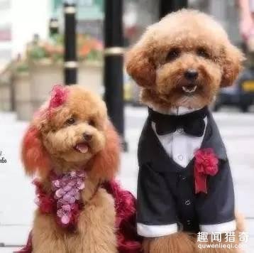 反正你穿不穿，婚纱就在那里，既不打折，也不降价。总有人欢天喜地的把它买回家。