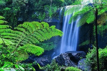 一个重度抑郁症患者内心独白