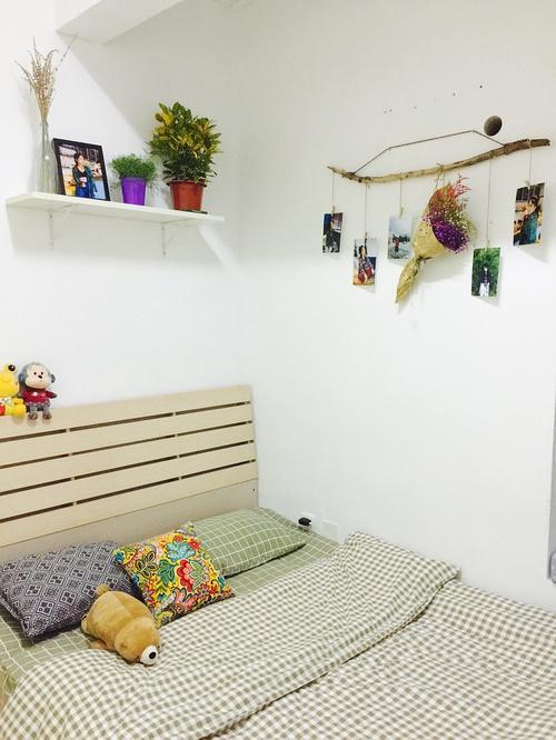 女服装设计师花费600元翻新深圳一房一厅出租房,大赞心灵手巧