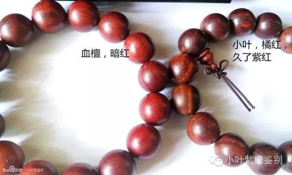 血檀属于红木吗?