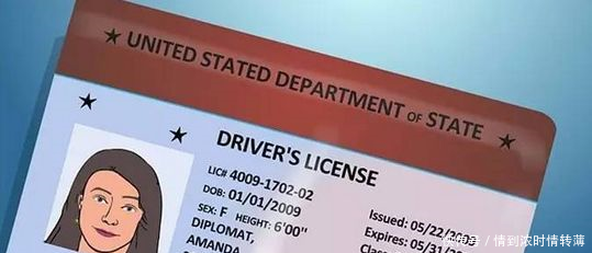 中国驾照,韩国驾照,美国驾照,日本驾照,网友这差