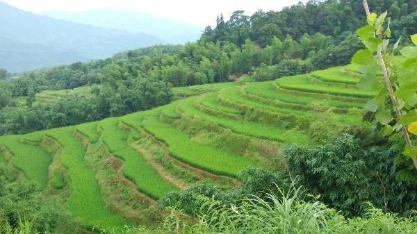 新政策 农村自建房占地面积有了新规定