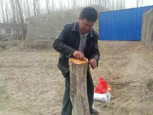 【脱贫攻坚在行动】培训果树嫁接技能 助力产