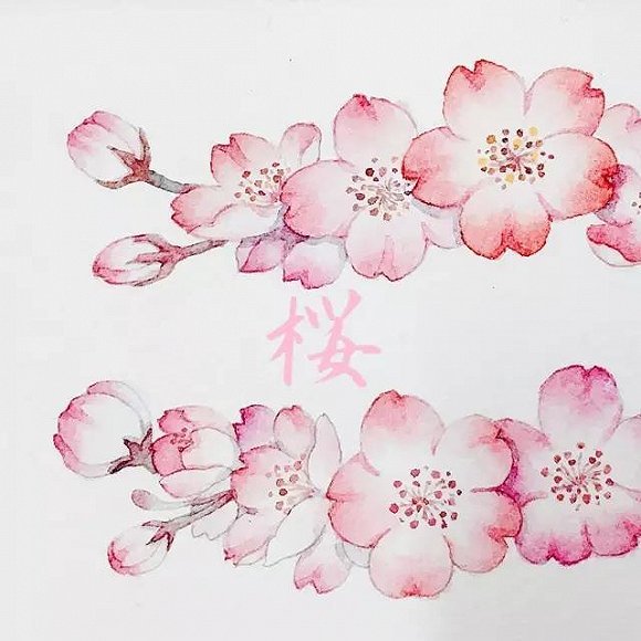 带你去看花花世界:姑姑有十里桃林,你有粉色樱海