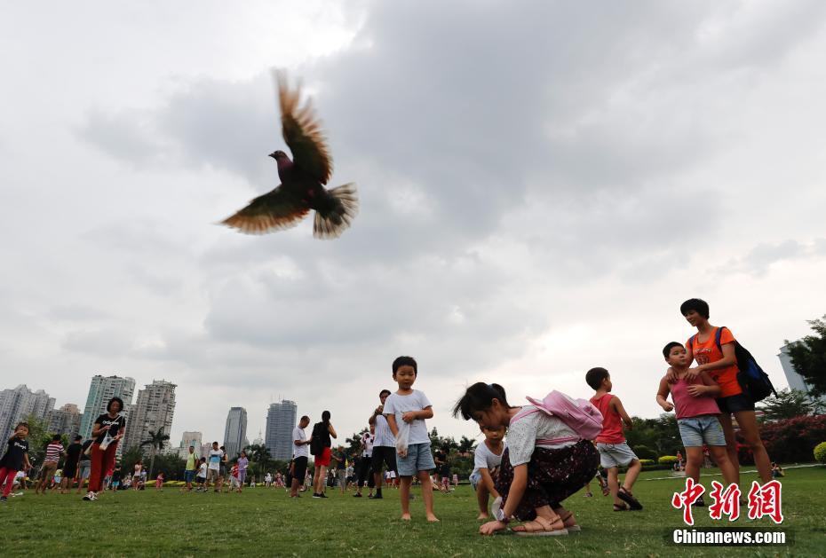 9月2日,厦门市民在白鹭洲公园休闲玩耍。金砖国家领导人第九次会晤将于9月3日至5日在厦门举行。 中新社记者 杜洋 摄