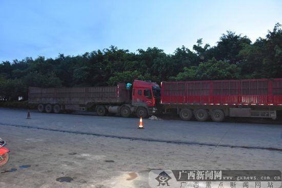 驾驶员被自己的车撞死 只因下车时少做了一个动作 驾驶员被自己的车撞死 只因下车时少做了一个动作