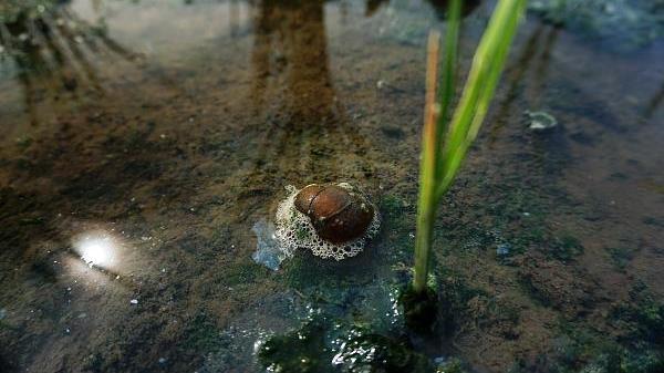 寄生虫多达6000条!千万别吃,立即清除!还有这些食物不要生吃→ 寄生虫多达6000条!千万别吃,立即清除!还有这些食物不要生吃→