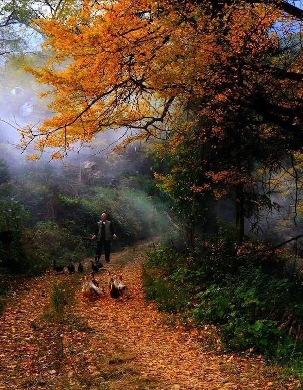 全球都在羡慕湖南人,你还不知道?央视新闻报道