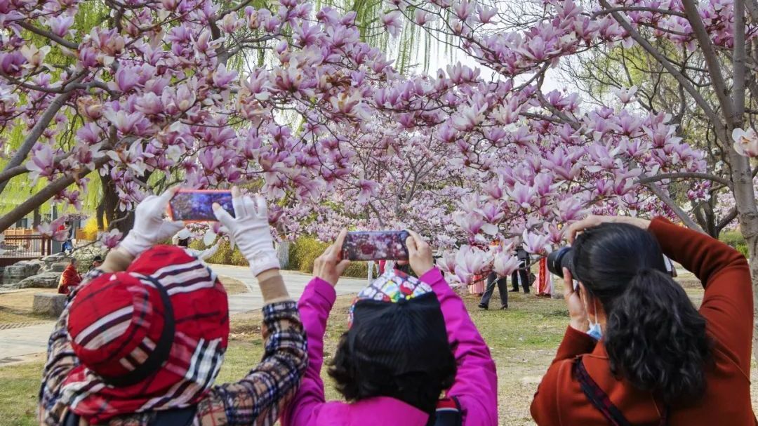 光影石景山——石景山雕塑公园