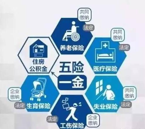 多大年龄可以领社保金 t017f48c641a7bfd5eb.jpg?size=495x441