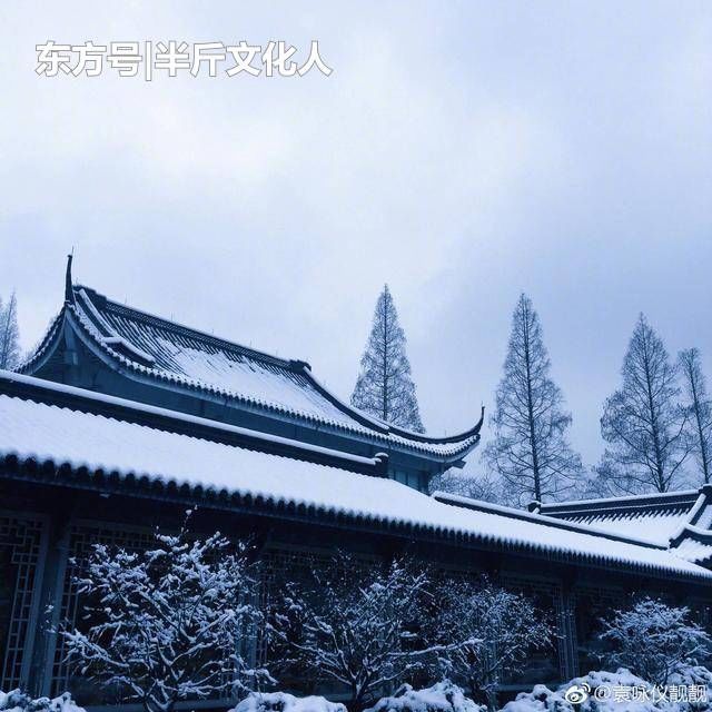47岁袁咏仪跑到杭州看雪,双眼皮感觉像刀割的