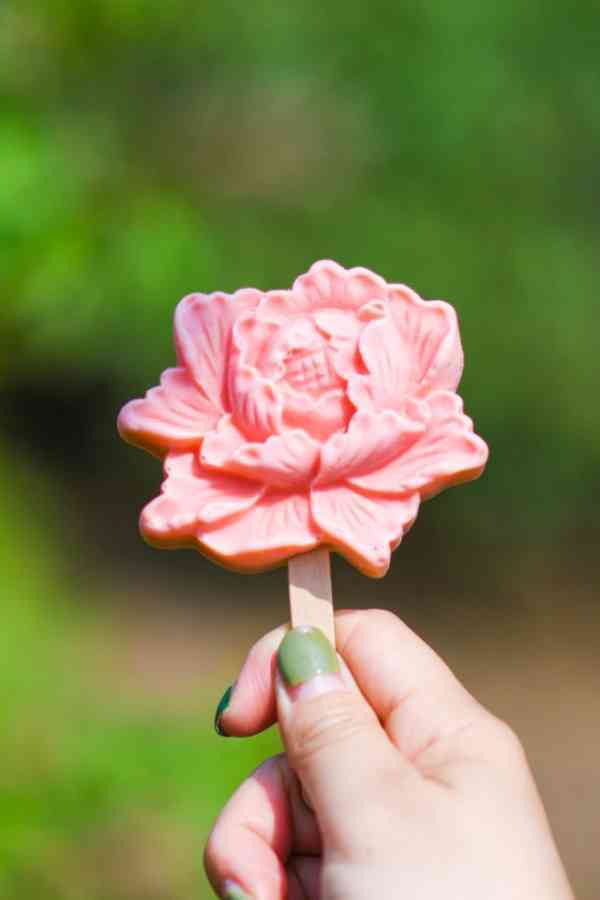 一天2000根!牡丹冰淇淋热销,公园花式文创成网红