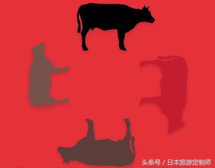 日本之行必吃美食日本和牛是什么